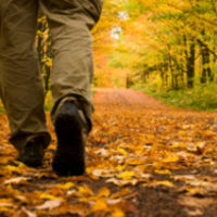 Oktober wandelmaand! Wandel jij ook mee?
