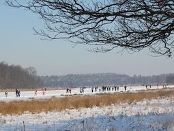 Winter Wandelcafé Leersumse Veld. Vennen, heide, bos. Singles 40+50+60+