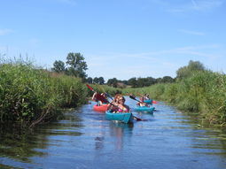 VOL! Single weekendje weg Weerribben/ Giethoorn. Fietsen, varen, blues en gezelligheid. 3 dgn. Met Single Events!