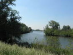 Wandelcafé Hollandse Biesbosch. Dordrecht. Wandelen singles 40+ 50+ 60+