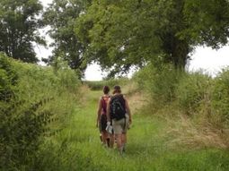 Wandelweekend singles Ardennen