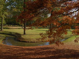 Wandelcafé Oostelbeers. Landgoed de Beast. Singles 40+50+60+