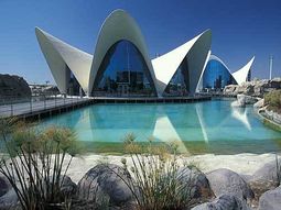 Single Citytrip Valencia - stad en omgeving.