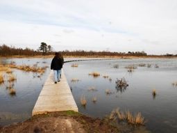 Singles Wandelcafé De Moer/ Tilburg, landgoed Huis ter Heide.