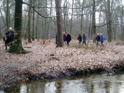 Zondag. Wandelen Arnhem.