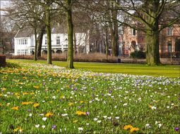 Wandelcafé Den Bosch. Landgoed De Pettelaar. SIngles 40+50+60+