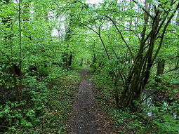 Pasen. Wandelcafé bij Boxtel. De Geelders. Wandelen singles 40+ 50+ 60+