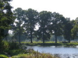 Wandelcafé St. Michielsgestel Dommel en Haanwijk. Wandelen singles 40+ 50+ 60+