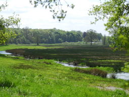 Wandelcafé Renkums Beekdal & beeldentuin &muziek. Wandelen Singles 40+50+60+.