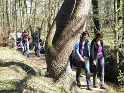 SE Kerst Wandelcafe Doorn & samen eten. Landgoed Stameren & Hoog Moersbergen