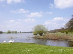 Stadswandeling Wageningen