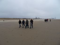 Wandelen singles strand en duinen Scheveningen