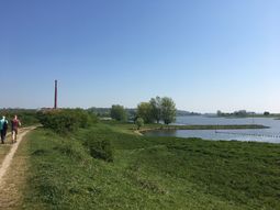 SE Nieuwjaars Wandelcafe Wageningen. Wandelen Singles 40+ 50+ 60+