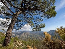 Adv. Singles wandelreis Spanje. Almijara Andalucie. 8 dagen.