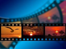 Steun onze filmhuizen! Kijk online samen! Welke film kies jij?
