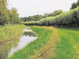 SE Wandelen Landgoed Voorstonden Brummen met singles & lunch Eerbeek.