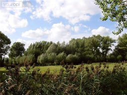 Tip. Wandeling door Eindhoven, Dommel en parken. Spreek af met je date/ singles!