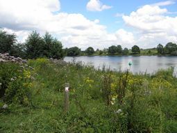 Wandelen, diner & gezellige avond Arcen N-Limburg. Singles 45+55+65+