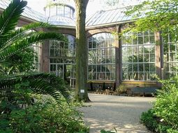 Tip! Wandel samen Koffierondje om de Hortus in Amsterdam.  Tip voor een date!