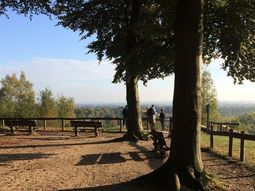 SE Wandelcafe Kwintelooijen Rhenen. Nieuw! Wandelen singles 45+55+65+