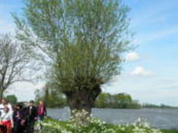 Tip. Wandelen Reeuwijkse Plassen. Spreek af met je date of met singles!