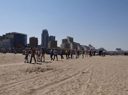Wandelen strand en duinen Scheveningen