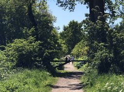 SE Wandelcafe Amerongse Berg & Bovenpolder. Singles 45+55+65+