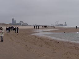 Wandelen strand en duinen Scheveningen