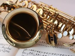 Dulfers DanceParty Zeist Saxofoon & Dj