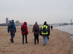 Wandelen strand en duinen Scheveningen