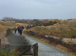 Wandelen strand en duinen Scheveningen