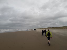 Wandelen strand en duinen Scheveningen