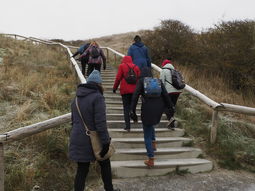 Wandelen strand en duinen  Scheveningen