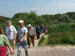 Wandelen strand en duinen  Scheveningen