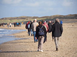 Wandelen strand en duinen Scheveningen