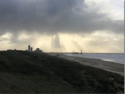 Wandelen strand en duinen Scheveningen