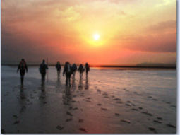 Wadlopen naar Ameland. City Mates