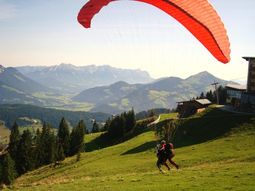 Singlevakantie Oostenrijk Niederau actief