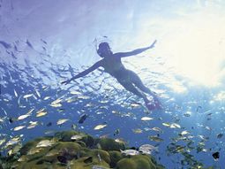 Vakantie Yoga & Actief Turkije