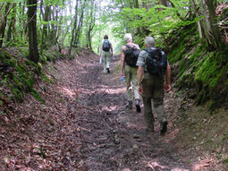Wandelen weekend singles Ardennen