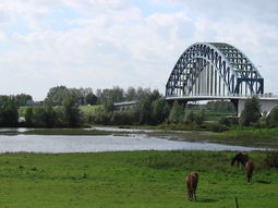 Wandelcafé & Klinkerfestival Zwolle. Singles 35+