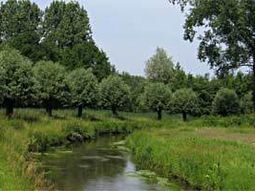 Wandelcafé Eindhoven Genneperparken. Singles 35+