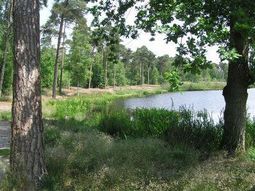 Wandelcafé Oisterwijkse Vennen.
