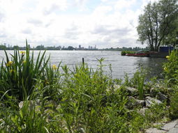 Wandelcafé Rotterdam Kralingse Plas. Singles 35+