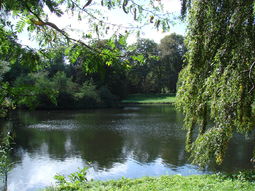 Wandelcafé Zwolle. Singles 35+