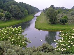 Wandelcafé Waterleidingduinen Zandvoort