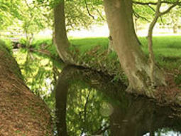 Wandelcafé Ugchelen. Sprengen, heide en herfstbos!