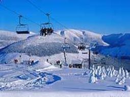 Dagtocht Winterberg. Skien, langlaufen, wandelen