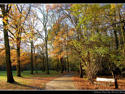 Wandelcafé Rotterdam Kralingse Plas. Singles 35+