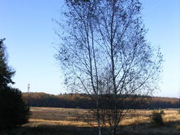 Herfst Wandelcafé Renderklippen Epe (sorry dus NIET Ede)